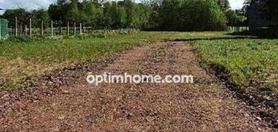 Terrain à Auxi-le-Château en Pas-de-Calais (62) de 4071 m² à vendre au prix de 55560€ - 1