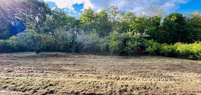 Terrain à Éloise en Haute-Savoie (74) de 1000 m² à vendre au prix de 195000€ - 3