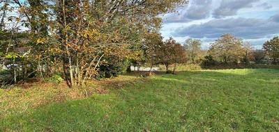 Terrain à Rieux en Morbihan (56) de 1351 m² à vendre au prix de 37622€ - 3