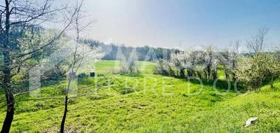 Terrain et maison à Saliès en Tarn (81) de 1028 m² à vendre au prix de 237947€ - 3