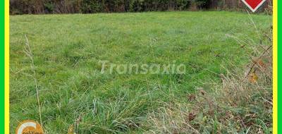 Terrain à Malicorne en Allier (03) de 3000 m² à vendre au prix de 35000€ - 2