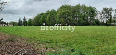 Terrain à Saint-Auvent en Haute-Vienne (87) de 4578 m² à vendre au prix de 50600€ - 2