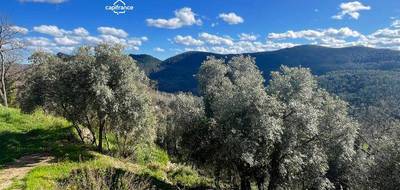 Terrain à Bagnols-en-Forêt en Var (83) de 1300 m² à vendre au prix de 260000€ - 1