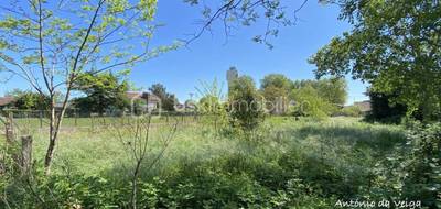 Terrain à Gabarret en Landes (40) de 1031 m² à vendre au prix de 29900€ - 3
