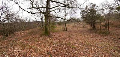 Terrain à Salazac en Gard (30) de 1970 m² à vendre au prix de 90000€ - 4