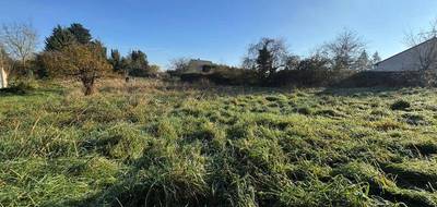 Terrain à Les Rairies en Maine-et-Loire (49) de 3241 m² à vendre au prix de 32500€ - 4