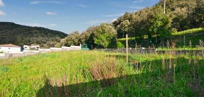Terrain à Saint-Nazaire-de-Ladarez en Hérault (34) de 2011 m² à vendre au prix de 130000€ - 3