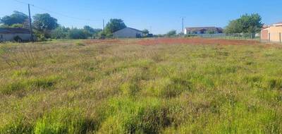 Terrain à Cissac-Médoc en Gironde (33) de 1130 m² à vendre au prix de 76000€ - 3