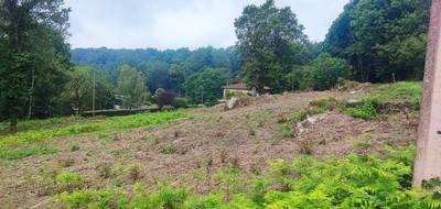 Terrain à Saint-Salvy-de-la-Balme en Tarn (81) de 1121 m² à vendre au prix de 17000€ - 3