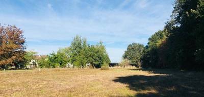 Terrain à Le Chautay en Cher (18) de 9346 m² à vendre au prix de 88000€ - 2