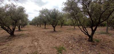 Terrain à Pézenas en Hérault (34) de 7000 m² à vendre au prix de 29000€ - 4