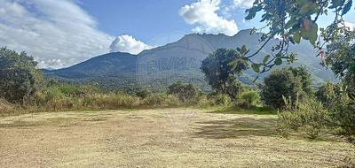 Terrain à Tavaco en Corse-du-Sud (2A) de 1751 m² à vendre au prix de 199000€ - 1
