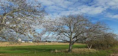 Terrain et maison à Habsheim en Haut-Rhin (68) de 350 m² à vendre au prix de 348500€ - 3