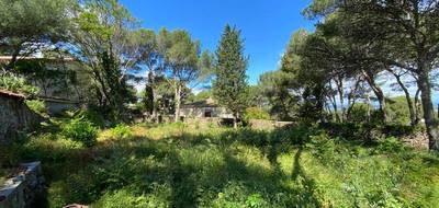 Terrain à Sète en Hérault (34) de 1000 m² à vendre au prix de 890000€ - 2