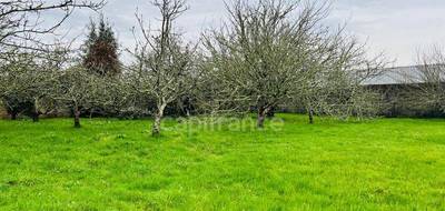 Terrain à Crozon en Finistère (29) de 744 m² à vendre au prix de 133000€ - 1