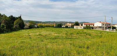Terrain à Ille-sur-Têt en Pyrénées-Orientales (66) de 566 m² à vendre au prix de 130000€ - 2