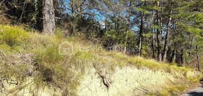Terrain à Pierrefeu en Alpes-Maritimes (06) de 1000 m² à vendre au prix de 64900€ - 2