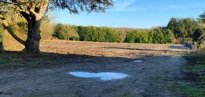 Terrain à Ver-sur-Launette en Oise (60) de 2366 m² à vendre au prix de 149000€ - 1