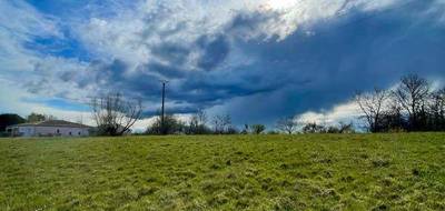 Terrain à La Salvetat-Belmontet en Tarn-et-Garonne (82) de 36155 m² à vendre au prix de 130000€ - 1