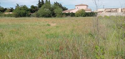 Terrain à Paraza en Aude (11) de 630 m² à vendre au prix de 87000€ - 3