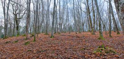Terrain à Coulounieix-Chamiers en Dordogne (24) de 24000 m² à vendre au prix de 95000€ - 3