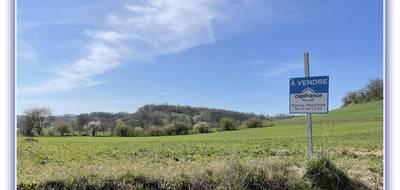 Terrain à Algans en Tarn (81) de 1700 m² à vendre au prix de 110800€ - 1