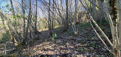 Terrain à Tulle en Corrèze (19) de 1430 m² à vendre au prix de 17990€ - 4
