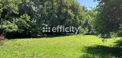 Terrain à Saujon en Charente-Maritime (17) de 6082 m² à vendre au prix de 167000€ - 1