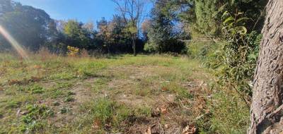 Terrain à Saint-Sériès en Hérault (34) de 306 m² à vendre au prix de 139000€ - 1