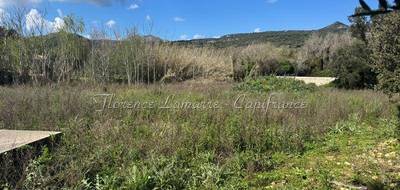 Terrain à Speloncato en Haute-Corse (2B) de 1980 m² à vendre au prix de 346500€ - 2