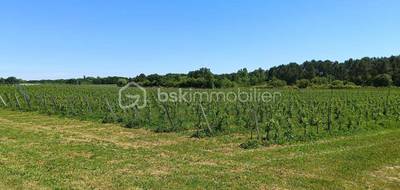 Terrain à Mazion en Gironde (33) de 237900 m² à vendre au prix de 211000€ - 3