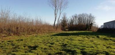 Terrain à Pont-de-Vaux en Ain (01) de 2268 m² à vendre au prix de 45000€ - 2