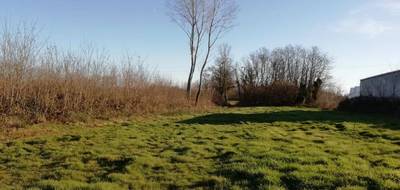 Terrain à Pont-de-Vaux en Ain (01) de 2268 m² à vendre au prix de 60000€ - 2