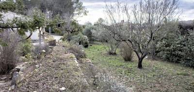 Terrain à Cuers en Var (83) de 500 m² à vendre au prix de 199000€ - 4