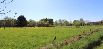 Terrain à Painblanc en Côte-d'Or (21) de 2348 m² à vendre au prix de 78000€ - 3