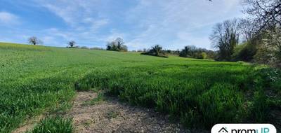 Terrain à Venizy en Yonne (89) de 16000 m² à vendre au prix de 64000€ - 1