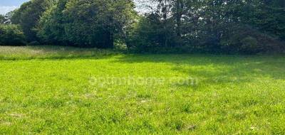 Terrain à Couzeix en Haute-Vienne (87) de 6618 m² à vendre au prix de 270000€ - 3