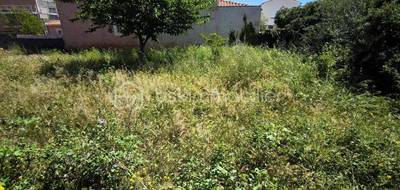 Terrain à Frontignan en Hérault (34) de 363 m² à vendre au prix de 220000€ - 1