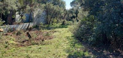 Terrain à Le Cannet-des-Maures en Var (83) de 0 m² à vendre au prix de 146790€ - 2