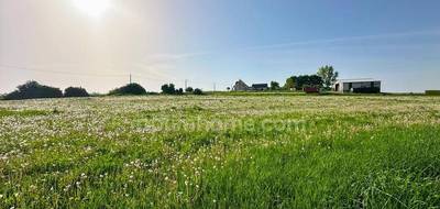 Terrain à Fonsomme en Aisne (02) de 4834 m² à vendre au prix de 85000€ - 1