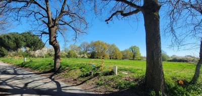 Terrain à Feneu en Maine-et-Loire (49) de 660 m² à vendre au prix de 77000€ - 4