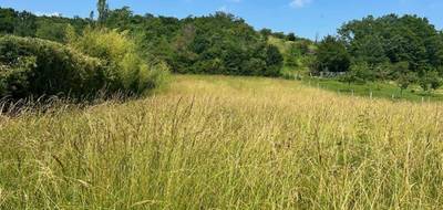 Terrain à Le Fossat en Ariège (09) de 3760 m² à vendre au prix de 75000€ - 1