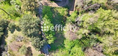 Terrain à Cervione en Haute-Corse (2B) de 1500 m² à vendre au prix de 105000€ - 1