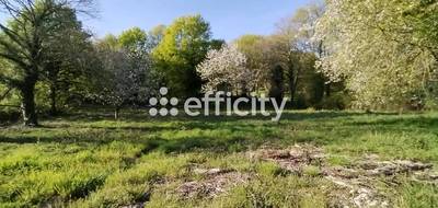 Terrain à Marcoussis en Essonne (91) de 2003 m² à vendre au prix de 325000€ - 4