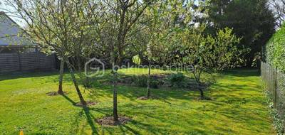 Terrain à Monnaie en Indre-et-Loire (37) de 806 m² à vendre au prix de 118000€ - 1