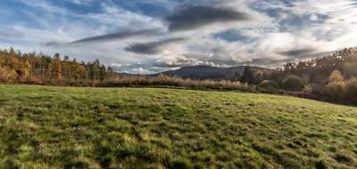 Terrain à Chabreloche en Puy-de-Dôme (63) de 5264 m² à vendre au prix de 60000€ - 1