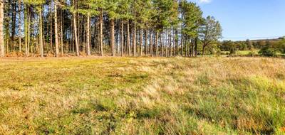 Terrain à Saint-Victor en Allier (03) de 2329 m² à vendre au prix de 39000€ - 1