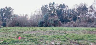 Terrain à Langrolay-sur-Rance en Côtes-d'Armor (22) de 554 m² à vendre au prix de 156870€ - 3