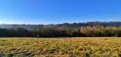 Terrain à Raival en Meuse (55) de 18614 m² à vendre au prix de 186000€ - 4