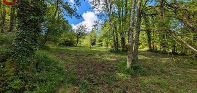 Terrain à Saint-Salvy-de-la-Balme en Tarn (81) de 3600 m² à vendre au prix de 28000€ - 3